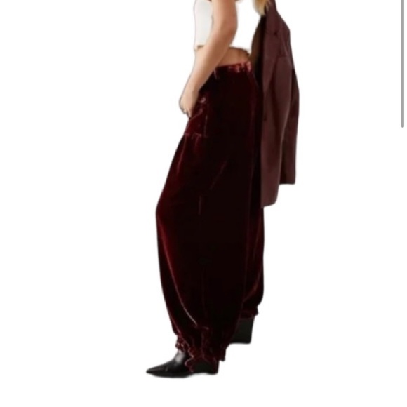 Free People We The Free Lotus Baggy Velvet Jogger Pants - Picture 3 of 10